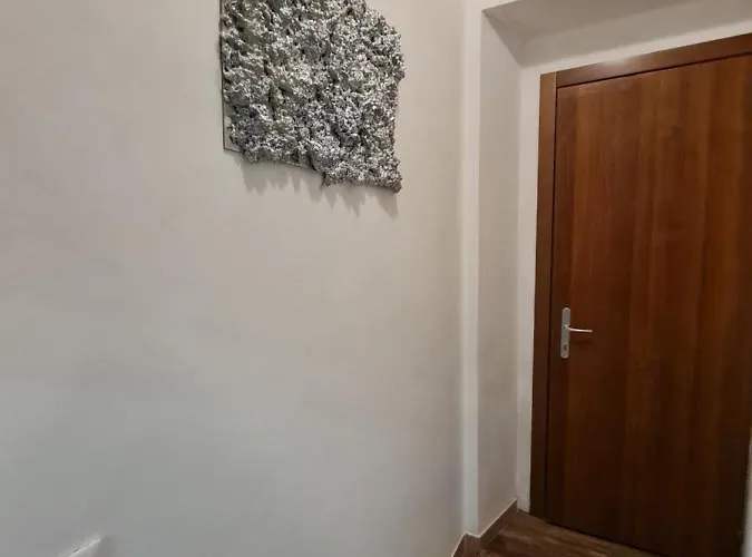 Civico 71 Apartamento Florencia